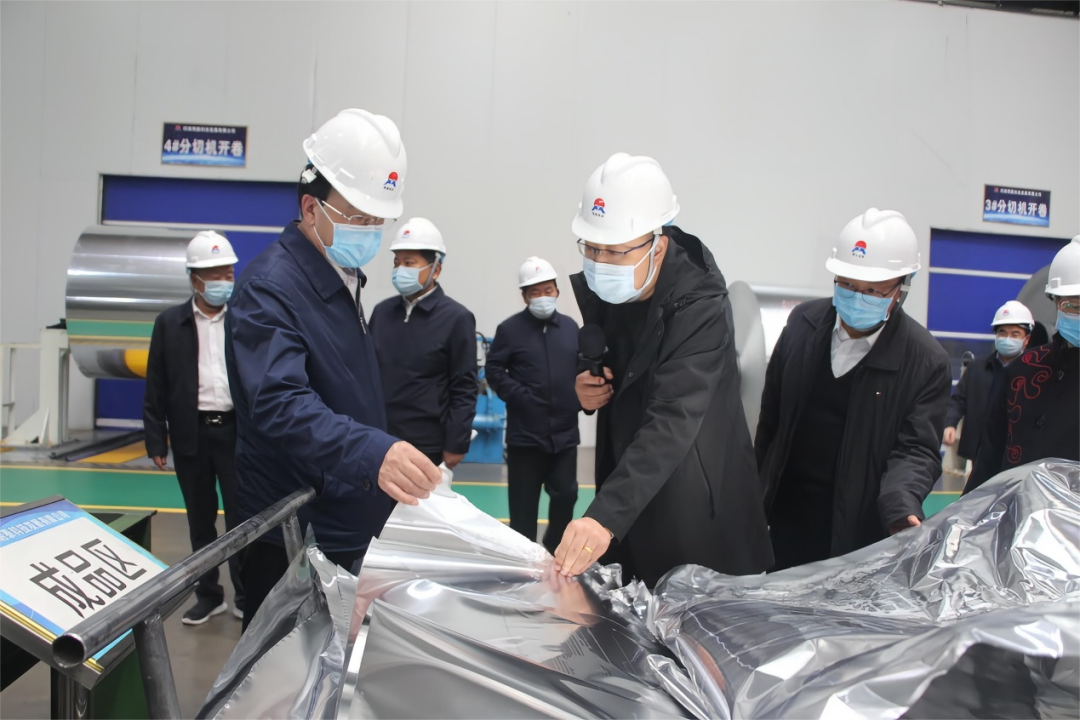 河南省副省长何金平莅临俄罗斯专享会294官网 - 俄罗斯专享会网站登录铝业调研